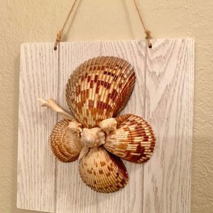 Natural Seashell Wall Art on Wood Shell Home Decor
